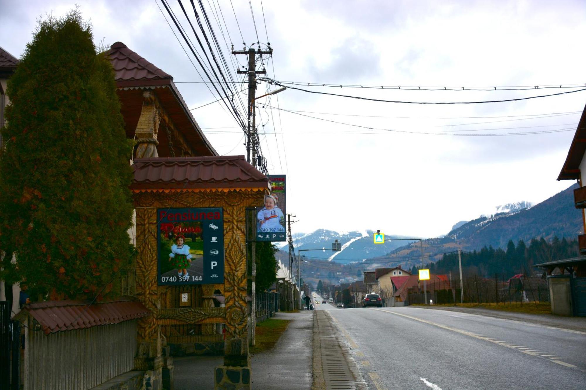 Pensiunea Poiana Borsa  Exterior photo